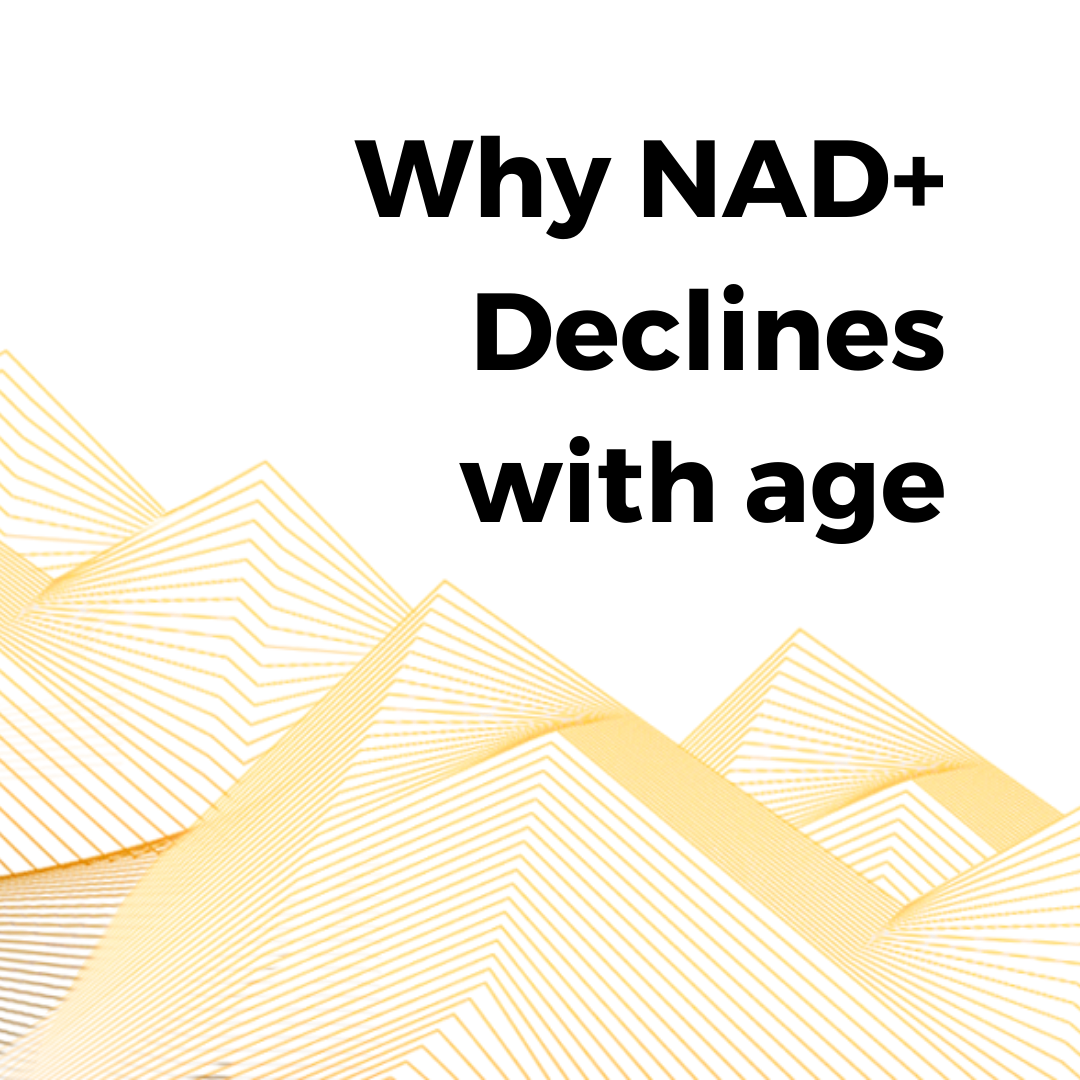 Why NAD+ declines with age