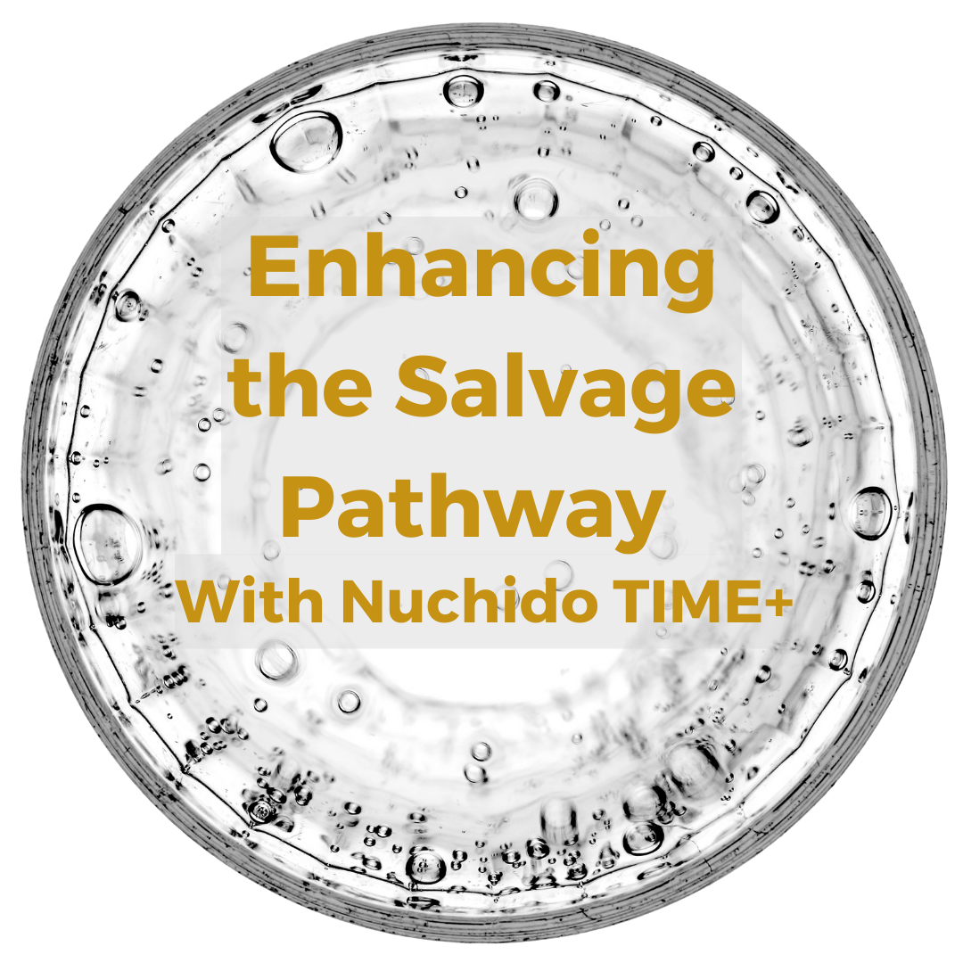 Enhancing the Salvage Pathway with Nuchido TIME+
