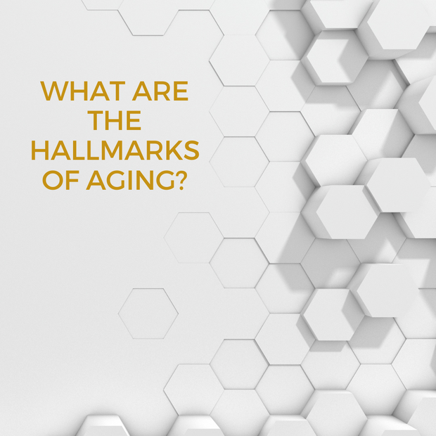 What are the Hallmarks of Aging?