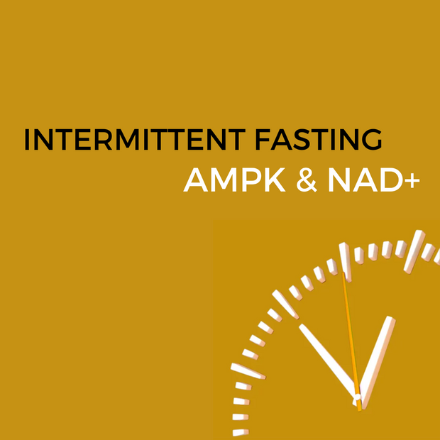Intermittent Fasting, AMPK and NAD+