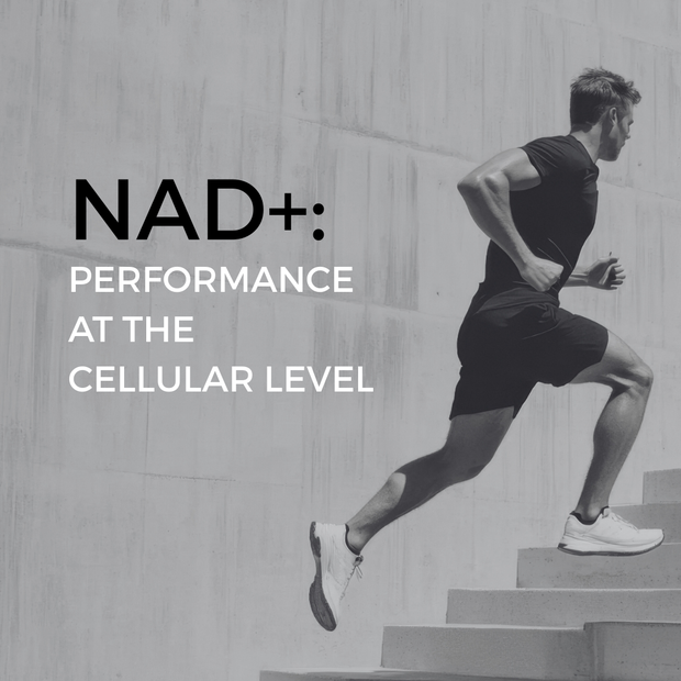 NAD+: Performance at the cellular level