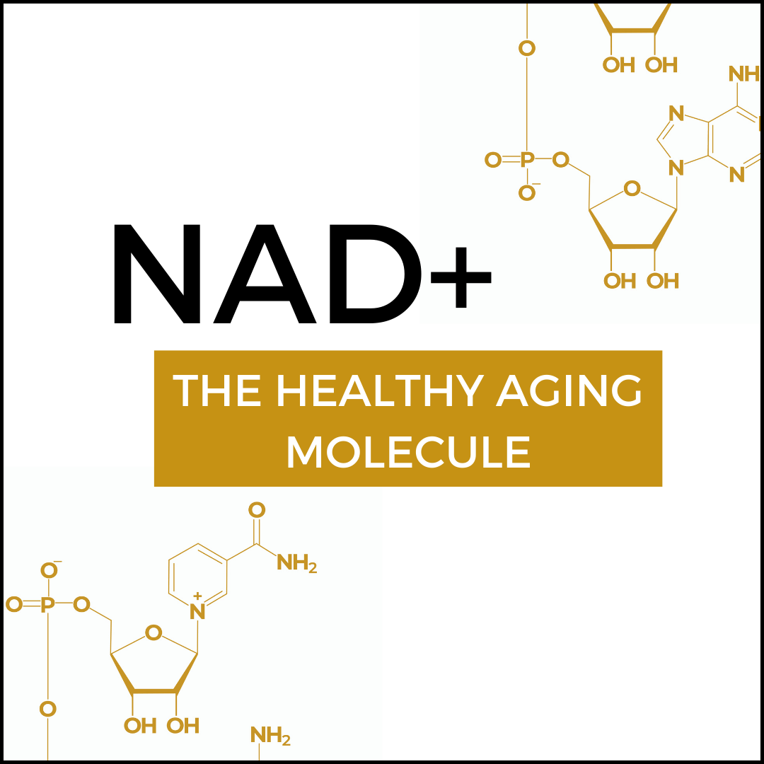 NAD+: The healthy aging molecule