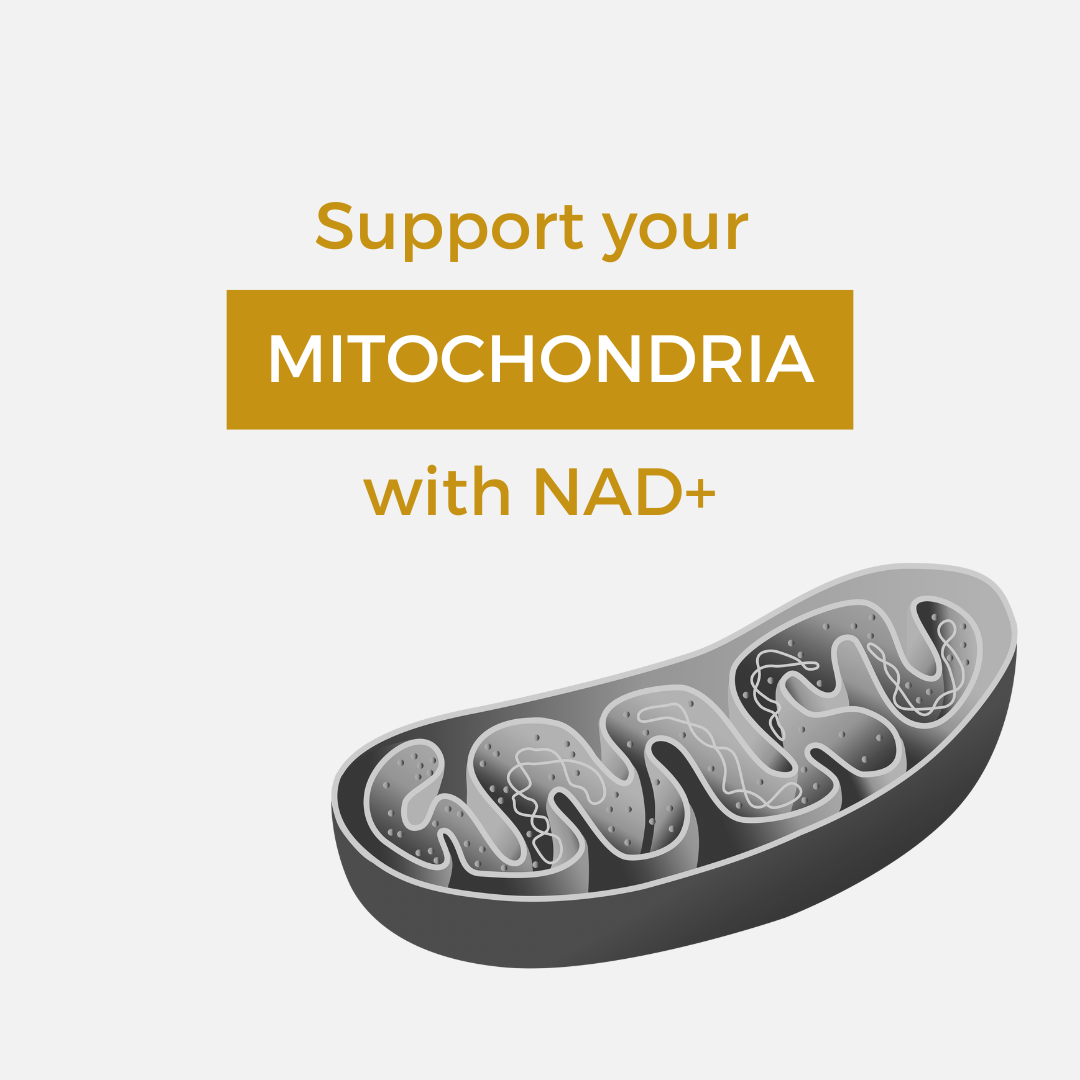 Support your mitochondria with NAD+