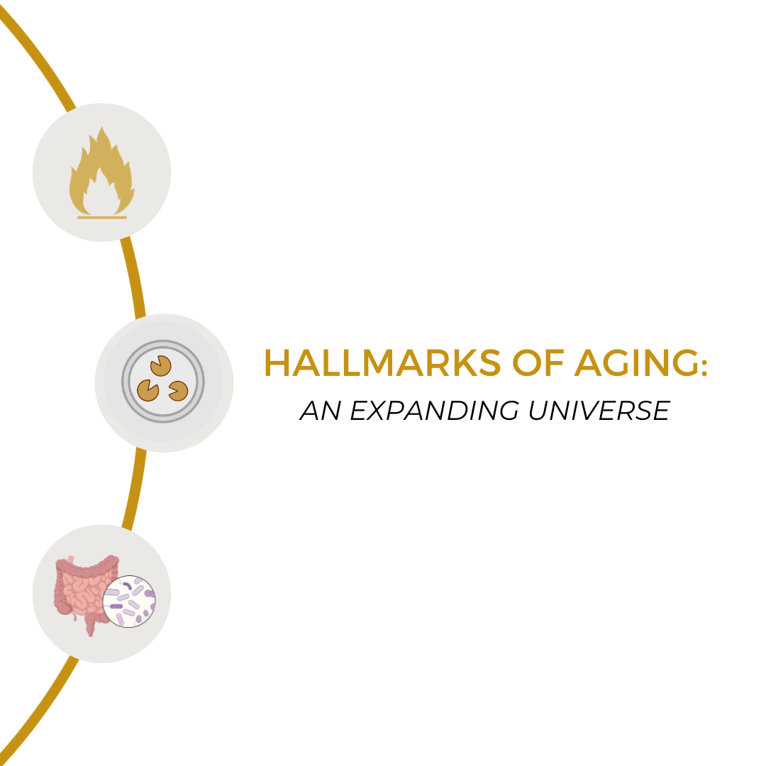 Hallmarks of Aging: An expanding Universe