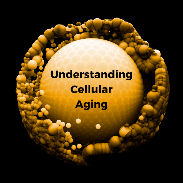 Understanding Cellular Aging