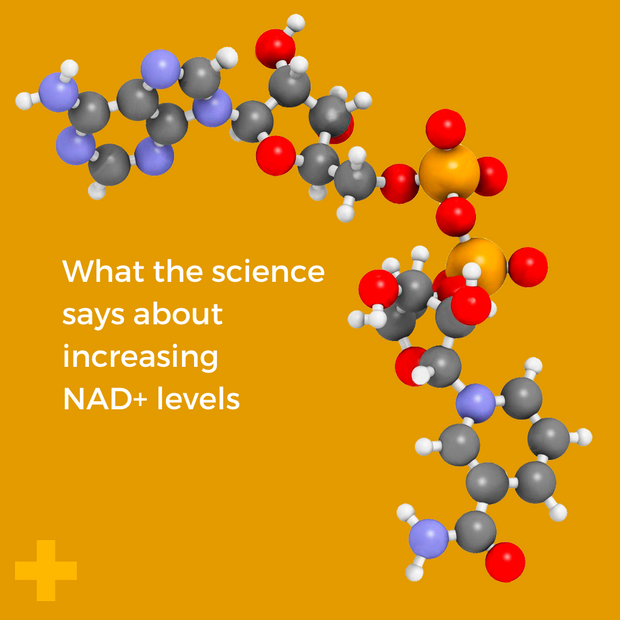 What the science says about increasing NAD+ levels