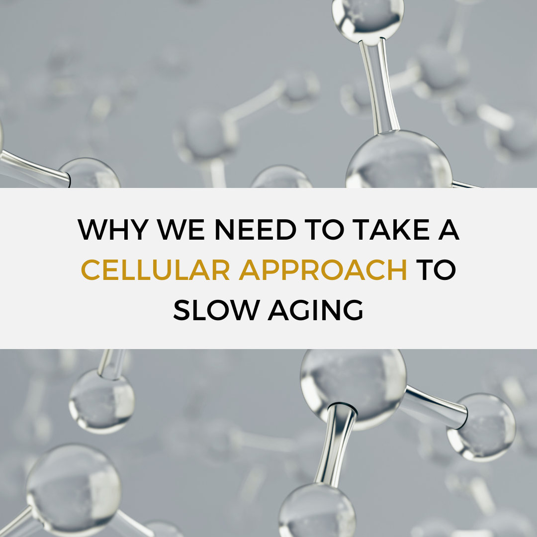Why we need to take a cellular approach to slow aging