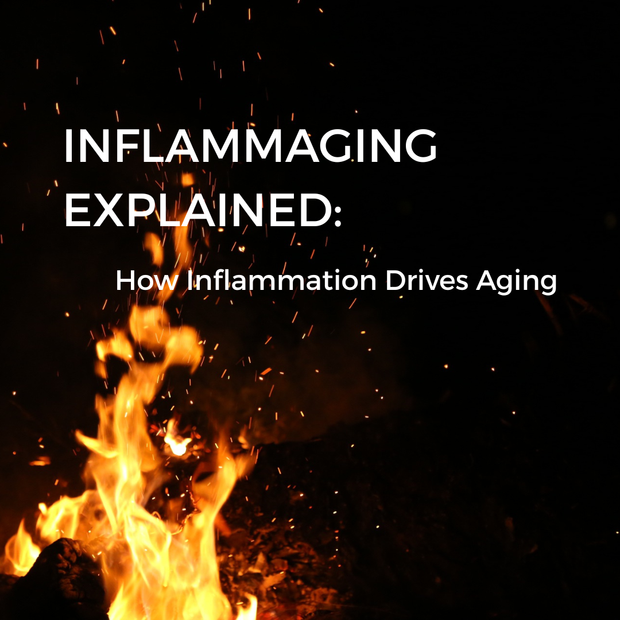 Inflammaging Explained: How Inflammation Drives Aging
