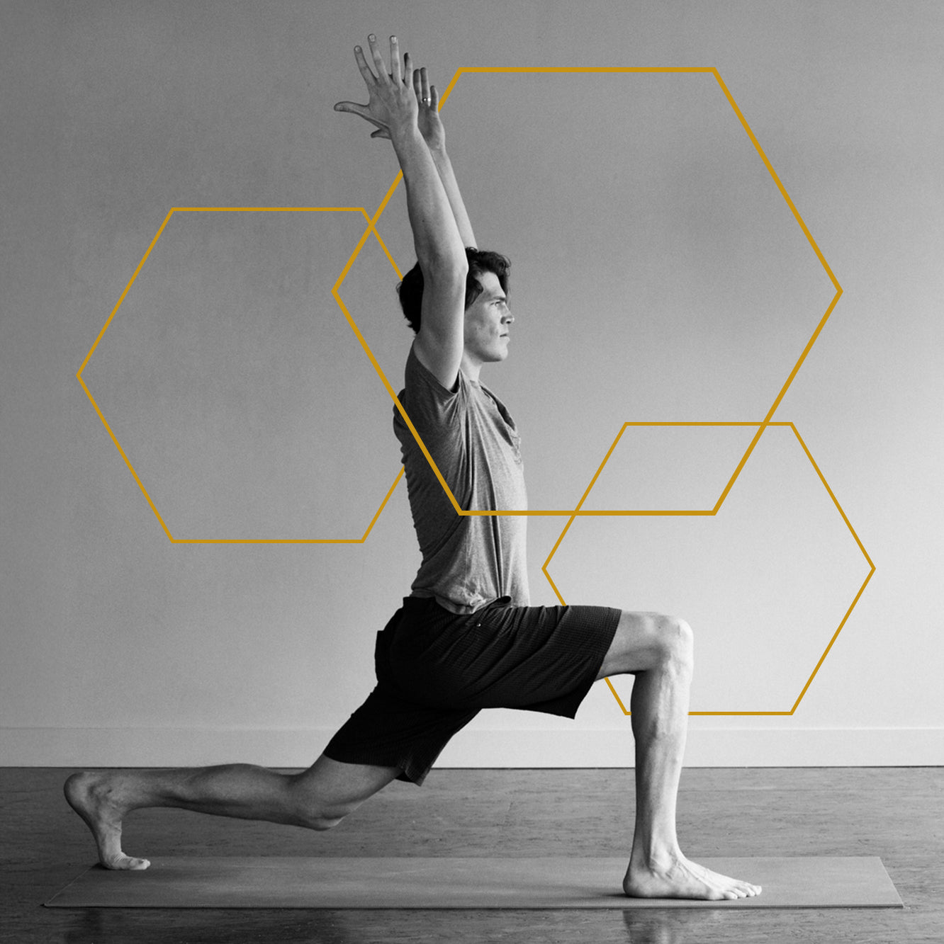 <strong>NAD+ FOR HEALTH OPTIMISATION AND PERFORMANCE</strong>