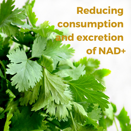 Reducing Consumption and Excretion of NAD+