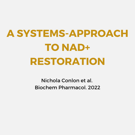 A Systems Approach To NAD+ Restoration