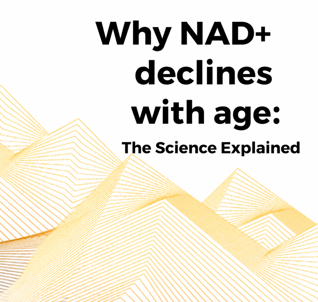 Why NAD+ declines with age: The Science Explained