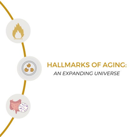 Hallmarks of Aging: An expanding Universe