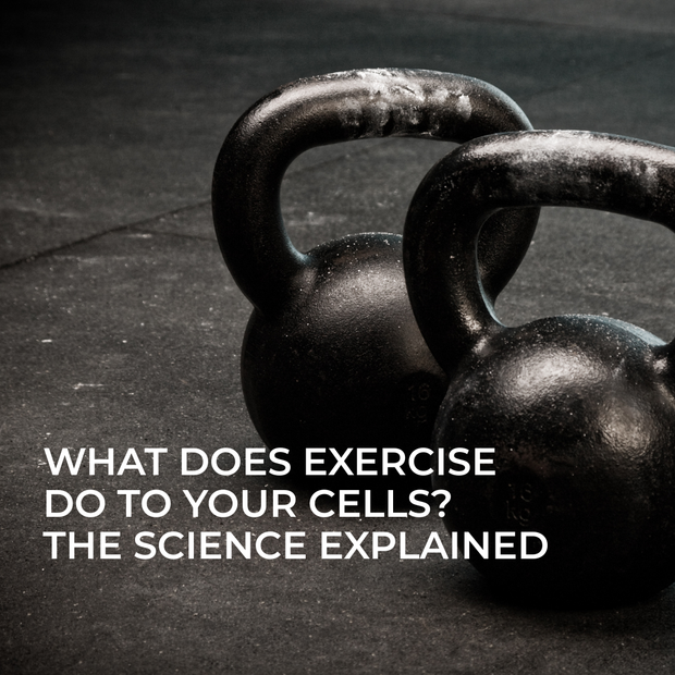 What Does Exercise Do to Your Cells? The Science Explained