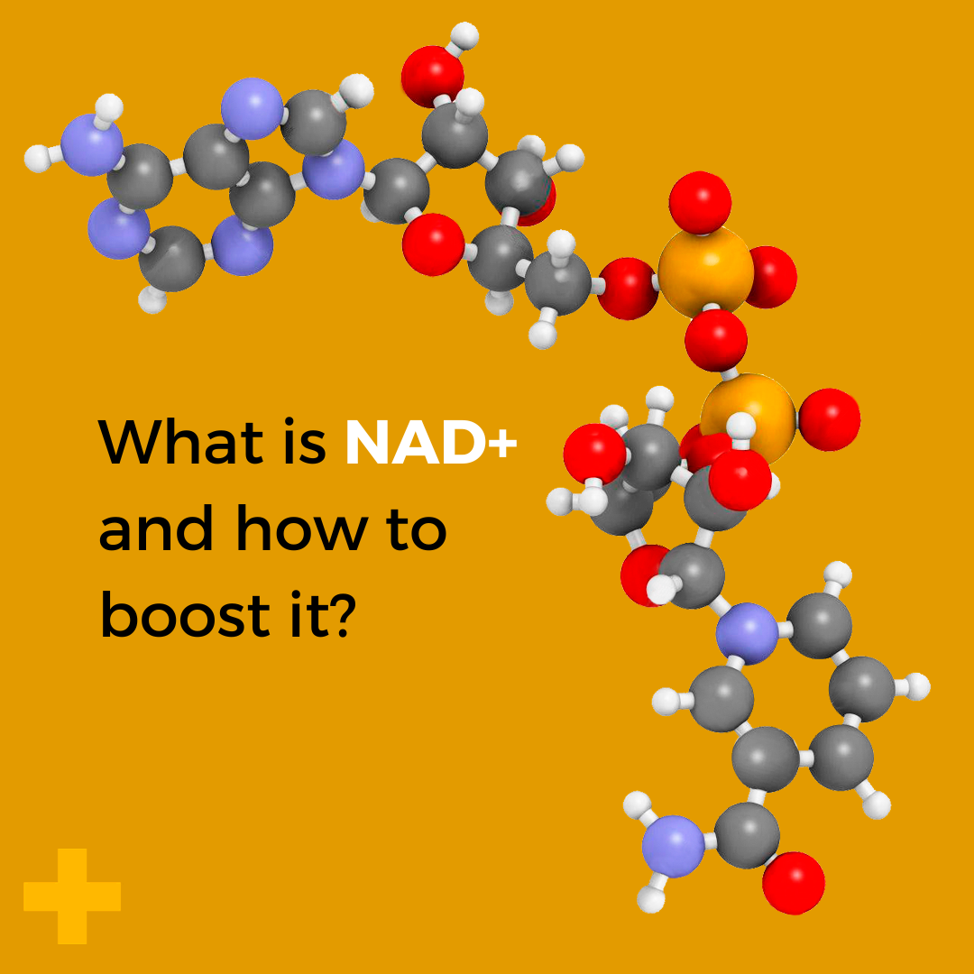 Nad Boost What is NAD+ and how to boost it? – Nuchido US