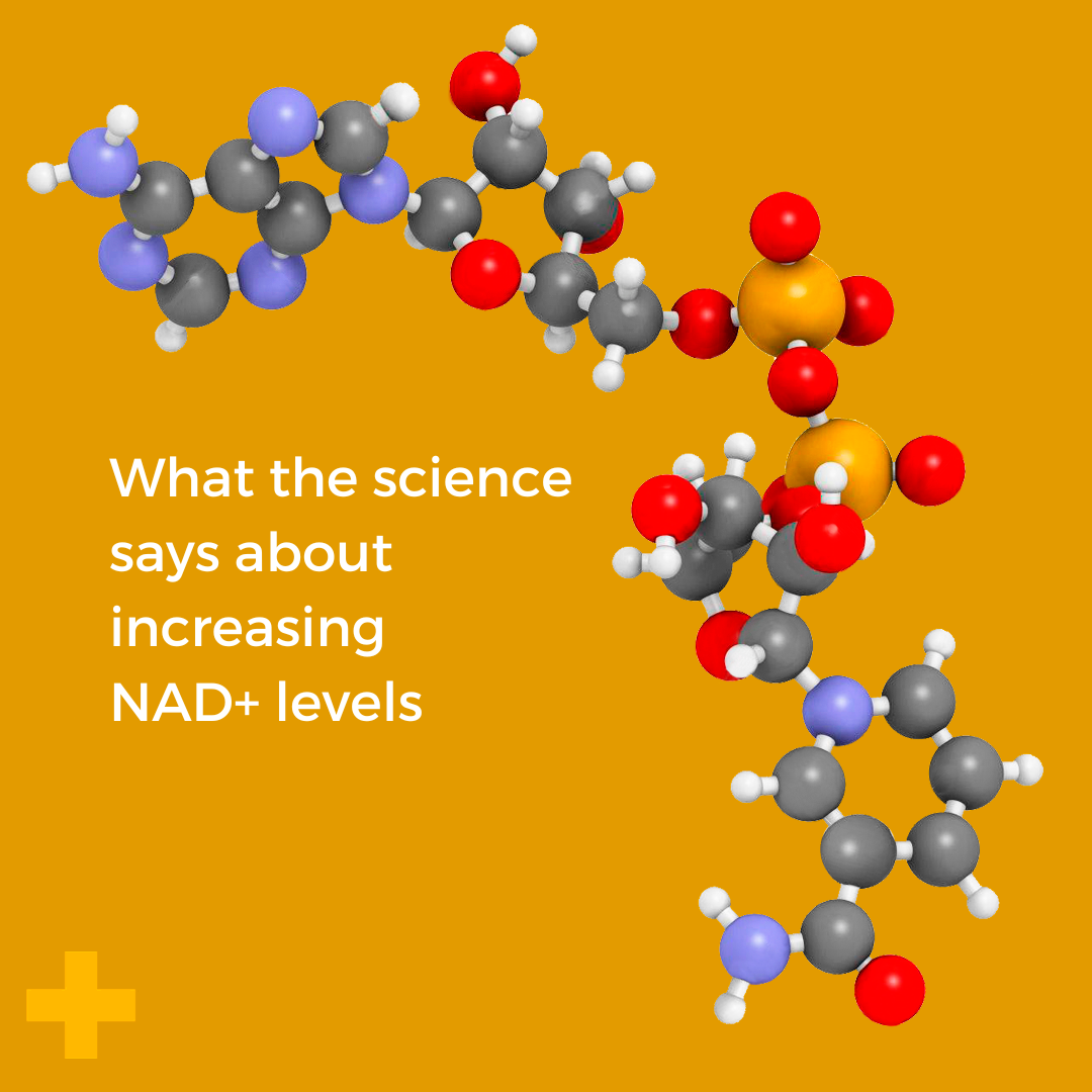 What the science says about increasing NAD+ levels