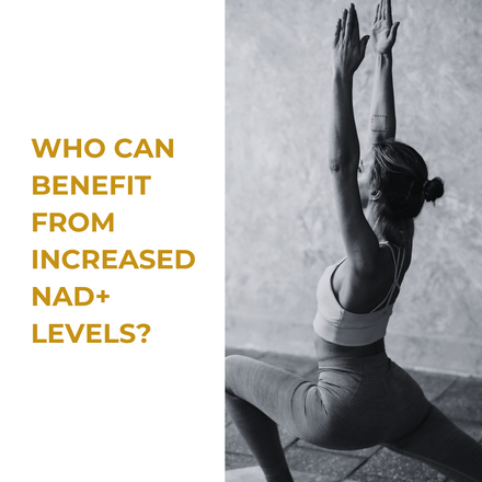 Who can benefit from increased NAD+ levels?