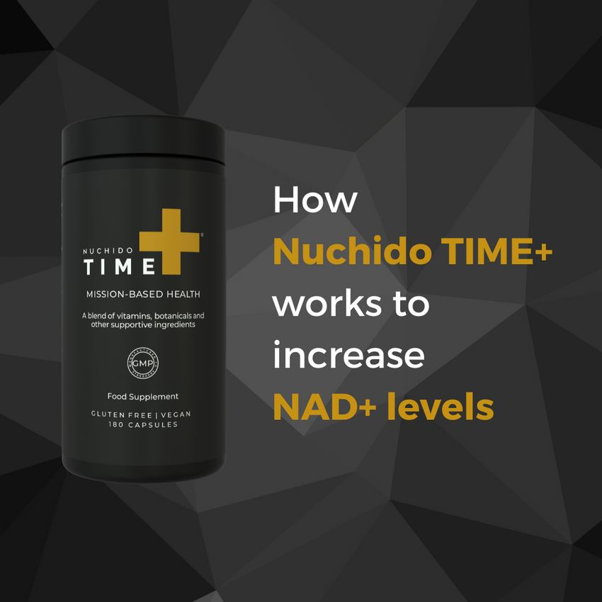 Nuchido TIME+: A Whole-System approach to NAD+ Restoration – Nuchido US