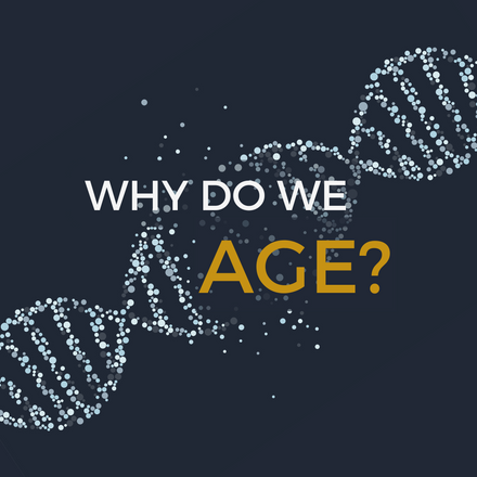 Why do we age?