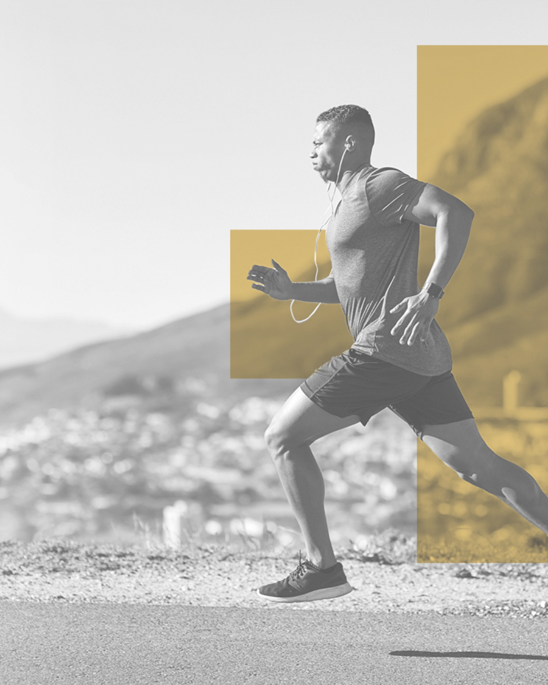 Collapsible with content image