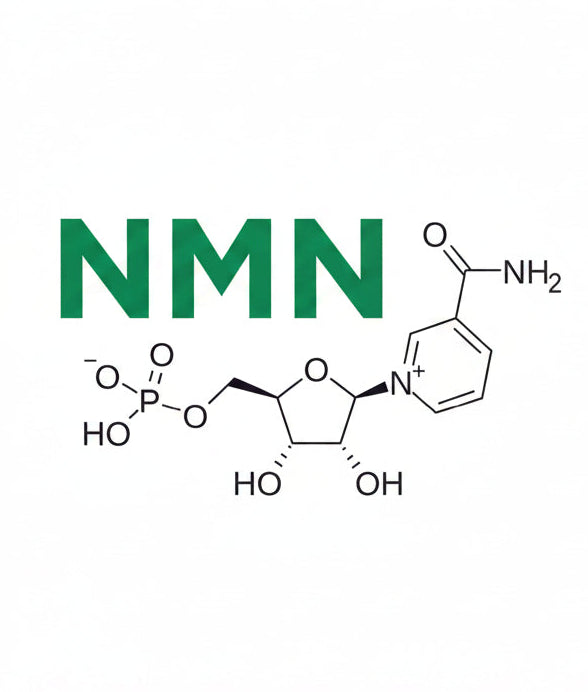 Chemical structures of NMN 
