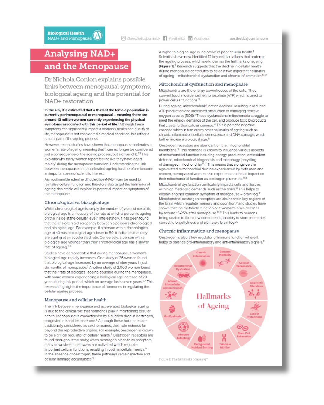 MENOPAUSE AND NAD+